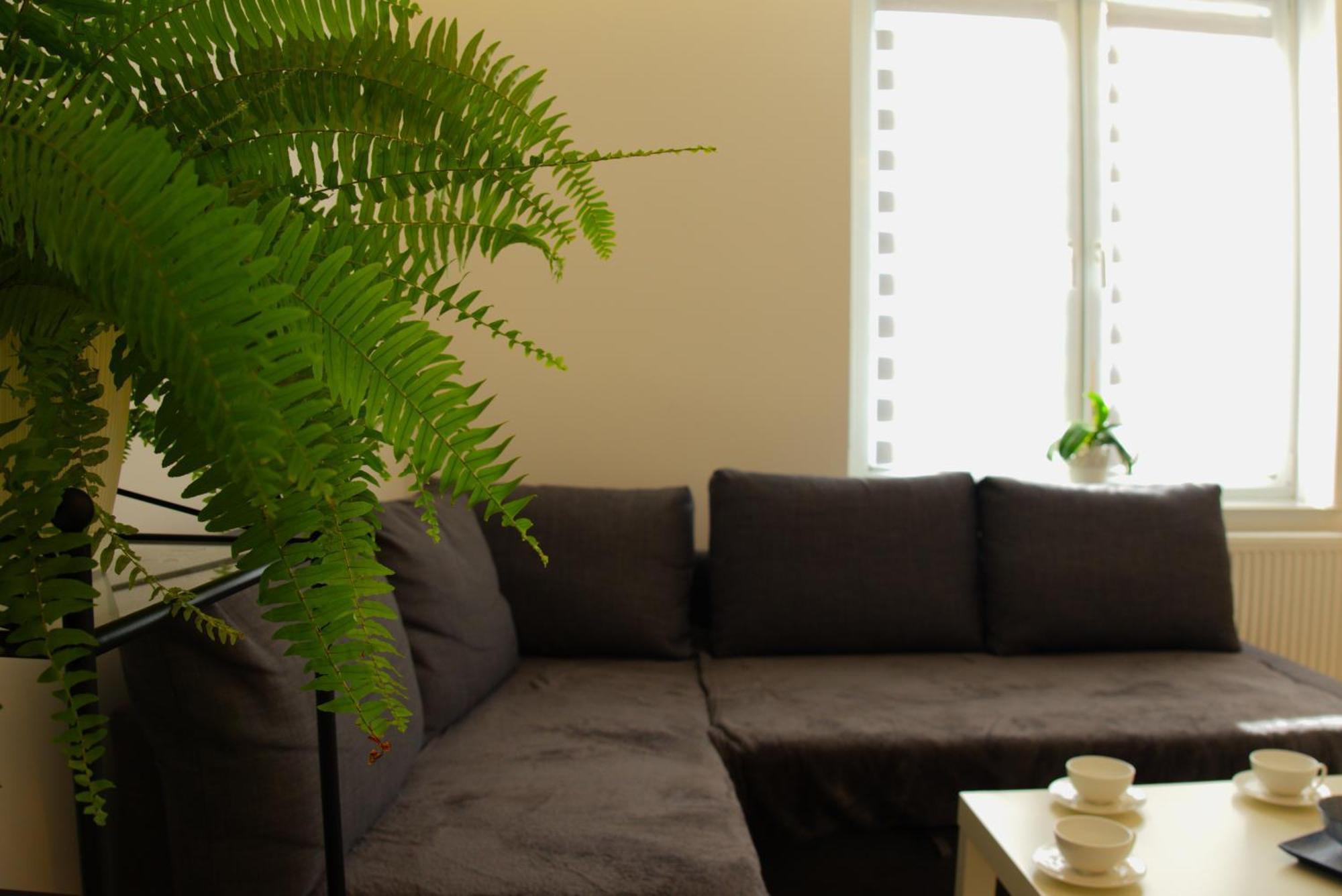 Apartament Centrum Rynek Boleslawiec  Exteriér fotografie